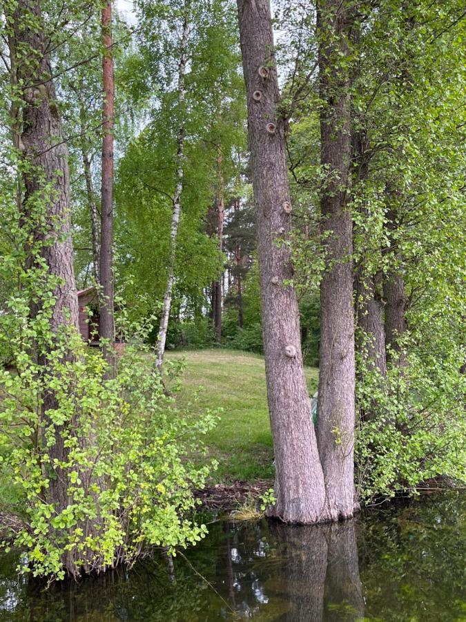 Apartament Comfort W Kujankach Nad Jeziorem Kujanki  Esterno foto
